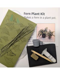 Fern Plant Kit