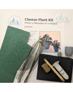 Cheese Plant Kit