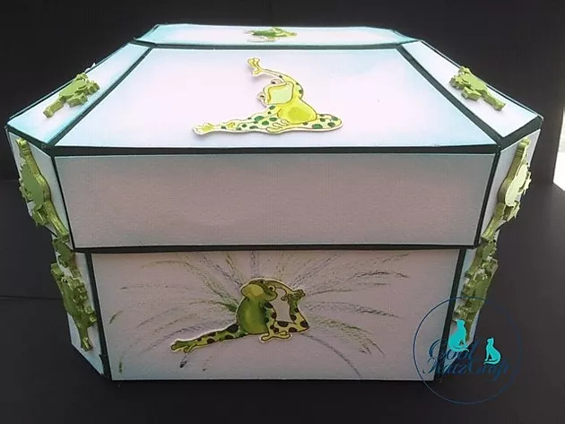 Rosemary's Yoga Frog Hidden Gem Box